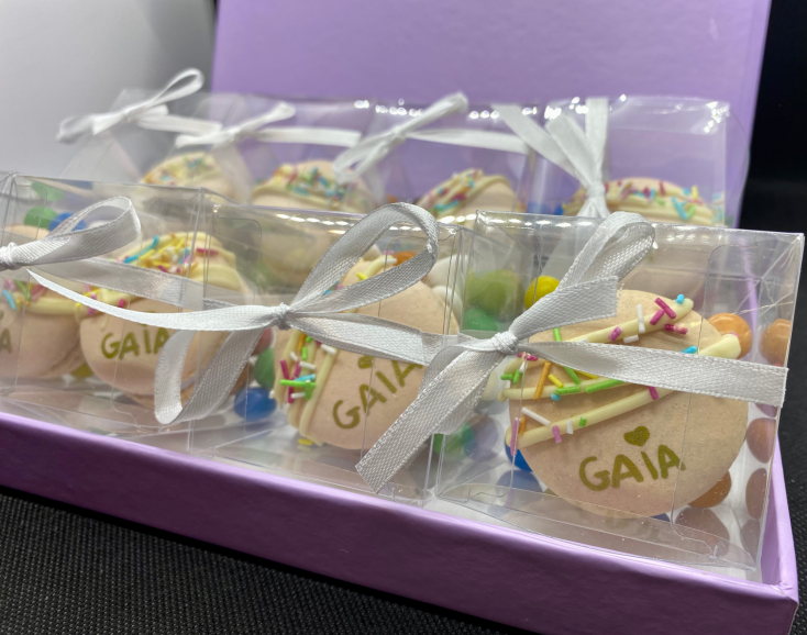 little box macaron copertina